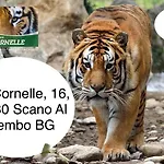 2 * Cassano dʼAdda